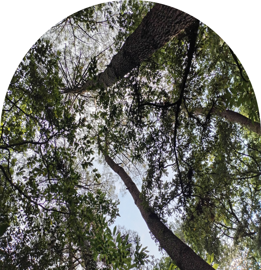 Séances individuelles